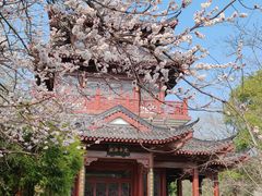 -堤角公园