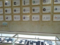 -新生植发·植养护一体