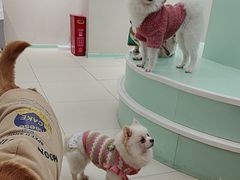 -怪兽屋·羊驼·猫咖·狗咖(俊华广场店)