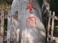 -黄帝陵