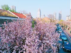 -天津五大道文化旅游区