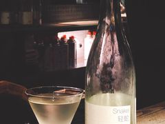 -毛辣果·酸(OHA复兴西路店)