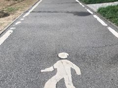 -后襄河公园