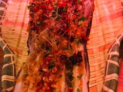 -胡桃里音乐酒馆(曲江店)