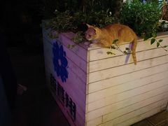 -知亘茶食