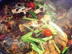 -老板恋上鱼(恒隆广场店)