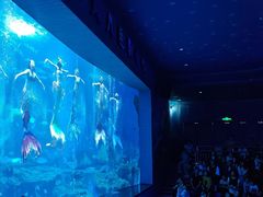 -多彩贵州城极地海洋世界