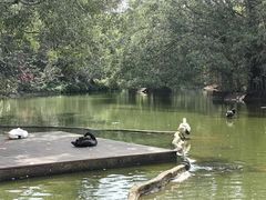 -海南热带野生动植物园