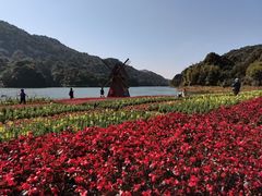 -广州市石门国家森林公园