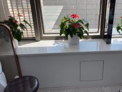 -悟空祛痘·诺奖技术专业店