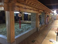 -盛彼得温泉度假酒店