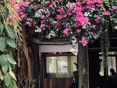 -西双版纳傣族园