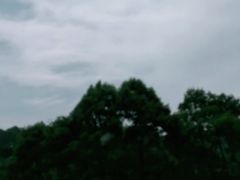 -花水湾红太阳牛肉汤锅