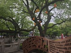 -安亭老街