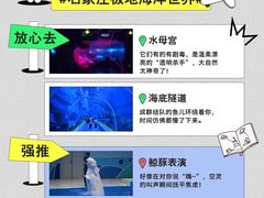-石家庄极地海洋世界