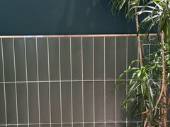 -鹤茶野所(上海首店)