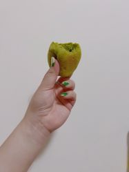-兔猫ToMoreNails美甲美睫