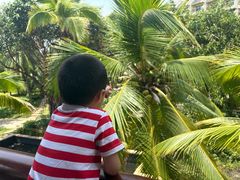 -亚龙湾喜来登·美景台大堂吧