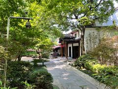 -西溪国家湿地公园