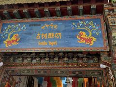 -古树酸奶(八廓南街店)