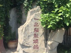 -食家鸽园