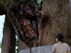-新安江山水画廊风景区
