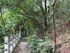 -黔灵山公园
