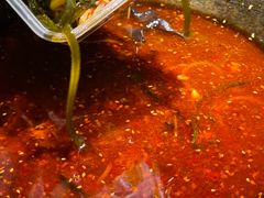 -辛香汇·现炒川菜(淮海路百盛店)