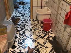 -猫色咖啡·猫咖