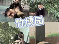 -阿露佳·舌尖上的安吉菜