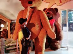 -济州岛泰迪熊博物馆