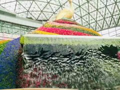 -花之城