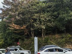 -广州市石门国家森林公园
