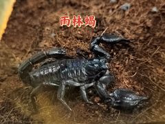 -西安曲江海洋极地公园
