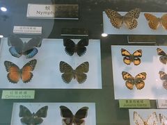 -上海昆虫博物馆