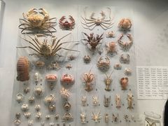 -四川大学博物馆