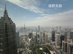 -上海柏悦酒店