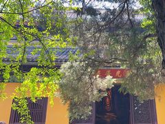 -西园戒幢律寺