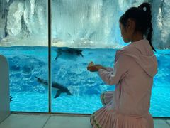 -帝企鹅自助餐厅•儿童岛•真企鹅(长隆企鹅酒店)