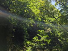 -五女峰国家森林公园