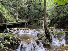 -牛背梁国家森林公园