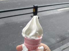 -麦当劳(塔园路店)