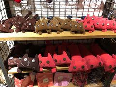 -猫咪博物馆(顶澳仔猫街店)