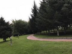 -黑龙江公园