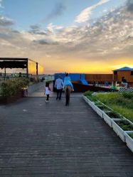 -小蜜蜂农场(凯德七宝购物广场店)