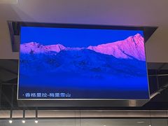 -芸山季·云南山珍菌火锅(南翔印象城MEGA店)