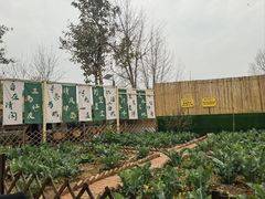 -苏记溪河鲢鱼庄(天府新区店)