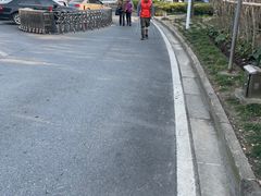 -上海中医药大学附属曙光医院(东部)