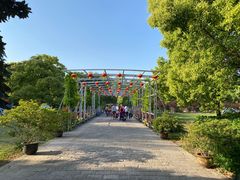 -上海滨江森林公园