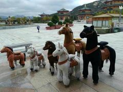 -龙口南山旅游景区